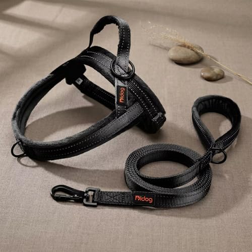 Didog Leash in 3/4''x 4 FT, Black