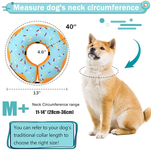 Cneo Animal Recovery Collar Cone in M+（neck 11"-14"）, Blue