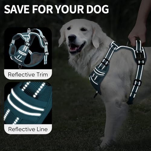 HEELE Animal Harness in S, Blackish Green