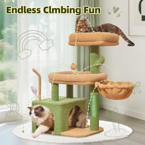 Taoqimiao Pet Activity Structure in L, Cactus