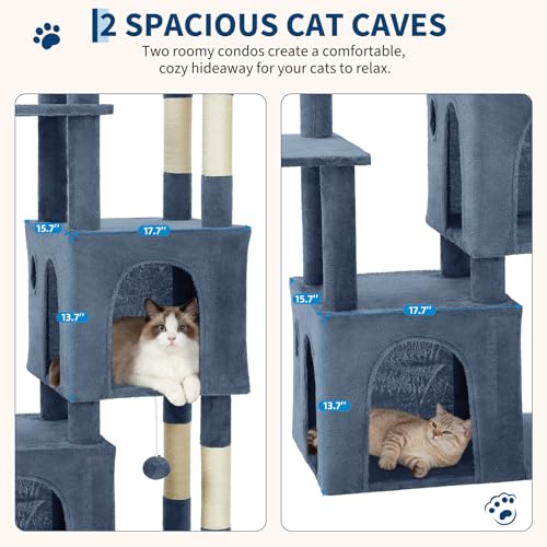 OUTLANE Pet Activity Structure in Light blue, Light Blue