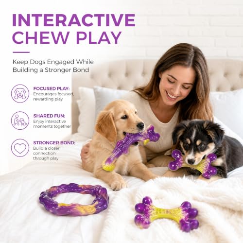 Frienhund Pet Toy in Small, Purple(Small)