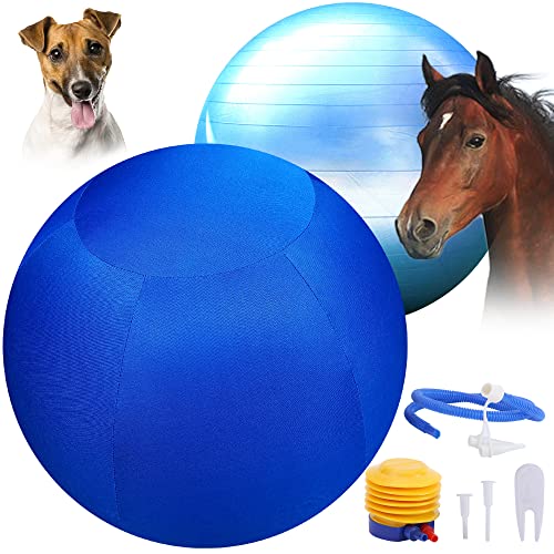 SWYIVY Recreation Ball in 30", Blue Ball Cover & Ball Kit