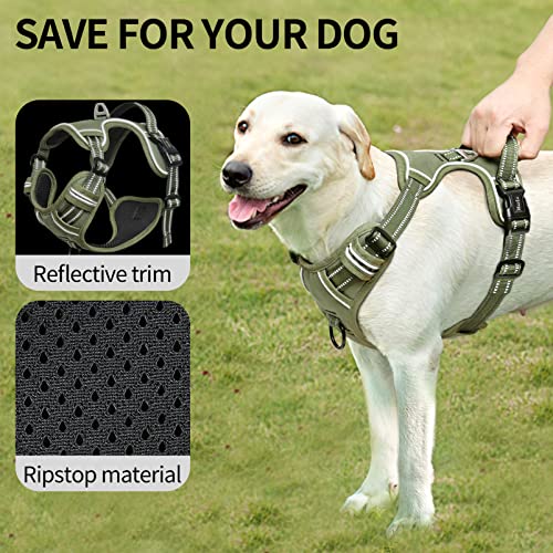 HEELE Animal Harness in S, Green