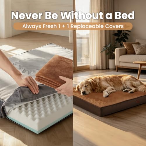 OhGeni Pet Bed Mat in 41" x 28" x 4"(2 Covers), 01-Gray