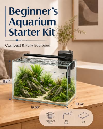 minilake Vivarium in 10 Gallon, Transparent