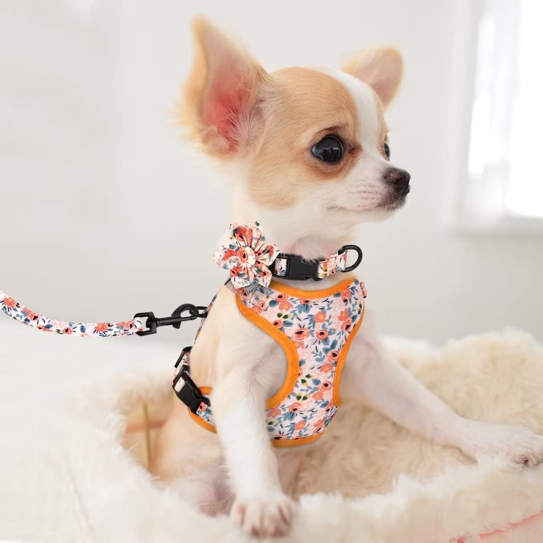 Beirui Animal Harness in XXS:Fit 2-6 lbs, Orange