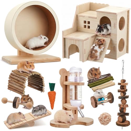 Sonwyoung Pet Activity Structure in natural