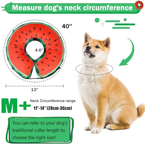 Cneo Animal Recovery Collar Cone in M+（neck 11"-14"）, Watermelon