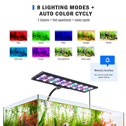 AQQA Electric Light in 11W, Black
