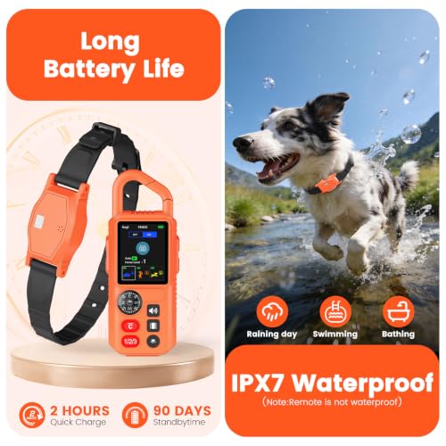 Pawton Animal Collar in Medium, Large, Orange for 1 Dog