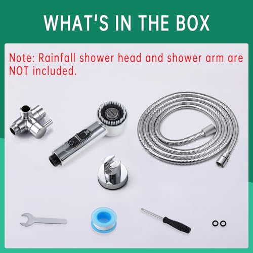 V-Frankness Showerhead in 100 Inches Hose, Polished Chrome