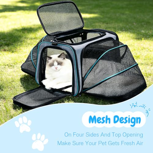Srinlon ㅤ Animal Carrier in 18.0"L x 11.0"W x 11.0"H, Blue