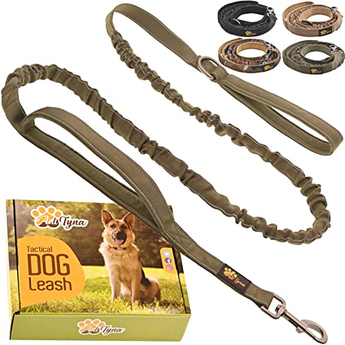 ADITYNA Leash in Medium, Large and Extra-Large, Ranger Green