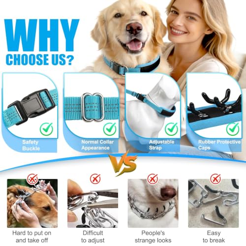NozlaID Animal Collar in XL(23"-28"), Blue