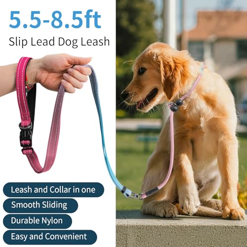 kazazoo Leash in Adjustable (5.5ft to 8.5ft), Gradient Pink