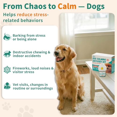 Pawith Pet Supplies in cyan