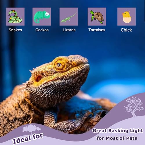 HARTOMPET Light Bulb in 60W - 2.5", Purple
