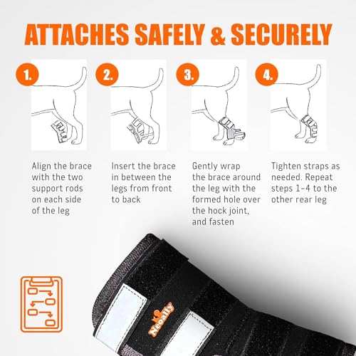 NeoAlly Pet Supplies in X-Small, Black