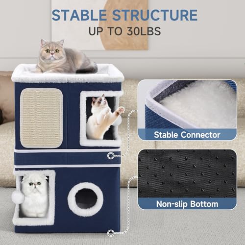 Shikha Animal Shelter in Double, Blue