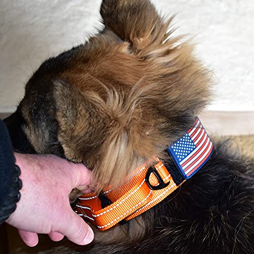 DEZIZEUSK9 Animal Collar in 16-25 INCH, ORANGE-COBVEL2