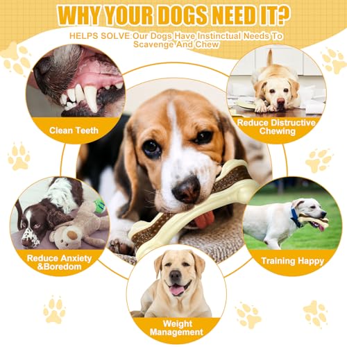 Sosation Pet Toy in Medium/Large, as shown