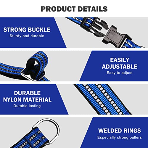 Hikiko Animal Collar in X-Small, Blue