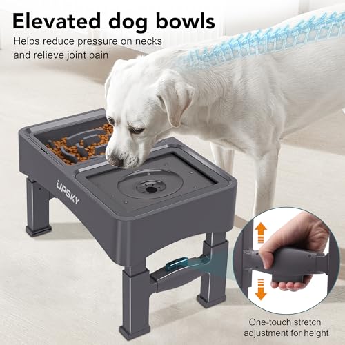UPSKY Pet Feeder in A-Water Bowl+Slow Feeder (Grey)
