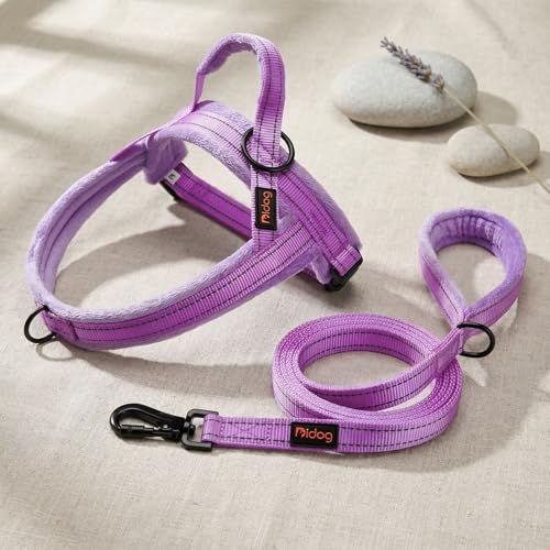 Didog Leash in 3/4''x 4 FT, Purple