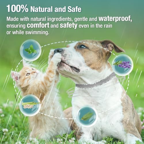 ZingZap Pet Pest Control in Grey