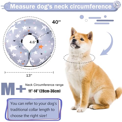Cneo Animal Recovery Collar Cone in M+（neck 11"-14"）, Grey