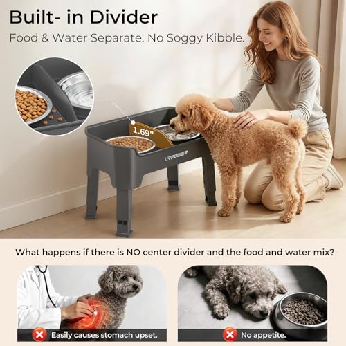 URPOWER Pet Feeder in Small, Grey