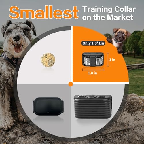 UbaNinva Animal Collar in Black