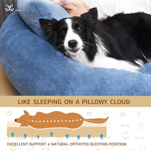 Fvkind Pet Bed Mat in 70"L×33"W×12"Th, Blue