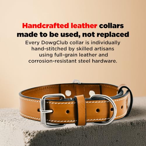 DowgClub Animal Collar in S (11"-14"), Tan