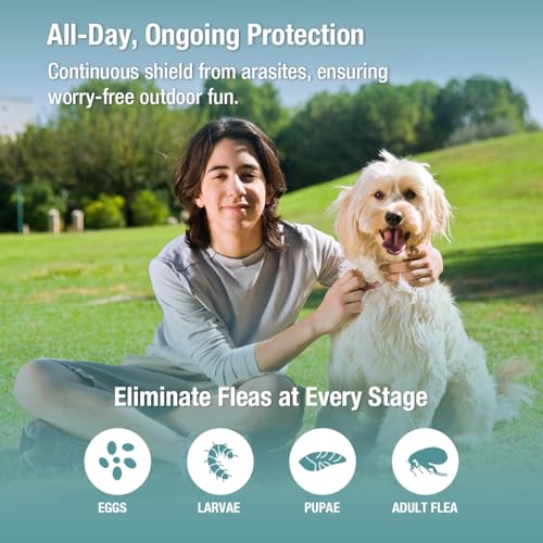 ZingZap Pet Pest Control in Grey