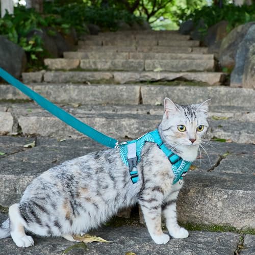 pangdi Pet Supplies in Small, Turquoise
