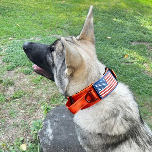 DEZIZEUSK9 Animal Collar in 16-25 INCH, ORANGE-COBVEL2
