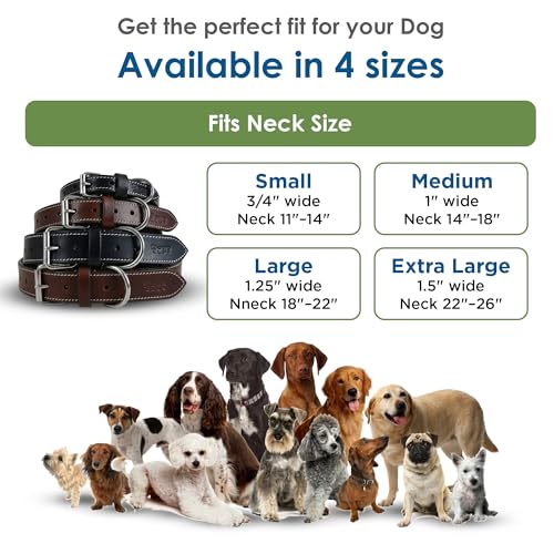 DowgClub Animal Collar in S (11"-14"), Rich Black