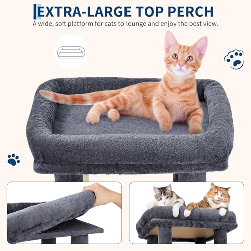 OUTLANE Pet Activity Structure in Dark gray, Dark Gray