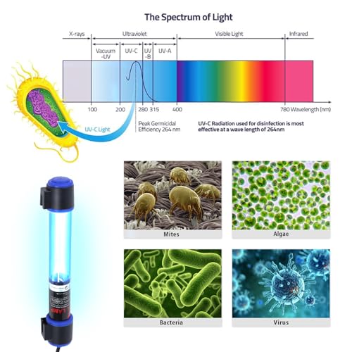 Ayamaxon Electric Light in Switch 5w, Switch