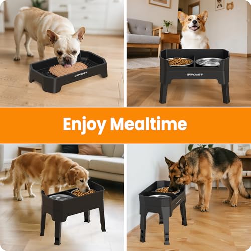 URPOWER Pet Feeder in Large, Black