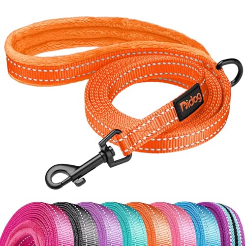 Didog Leash in 5/8''x 6 FT, Orange