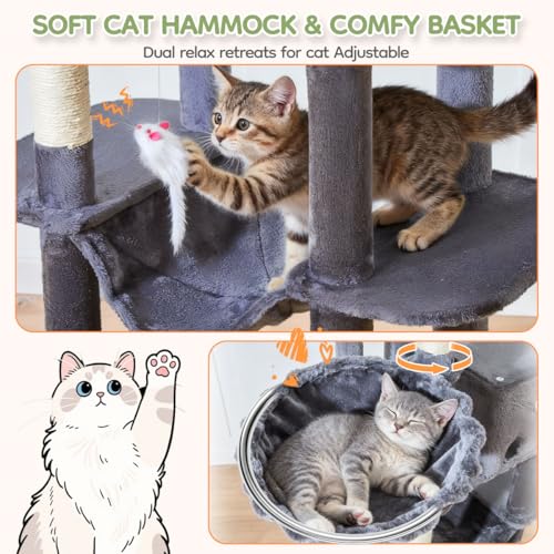 Taoqimiao Pet Activity Structure in 79 inch, Smoky Gray