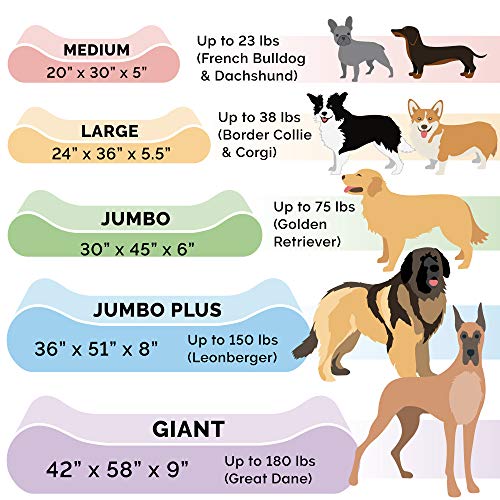 Furhaven Pet Bed Mat in Medium, Ultra Plush (Cream)