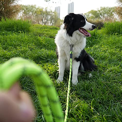 NTR Leash in 15ft*3/8", Green/Blue