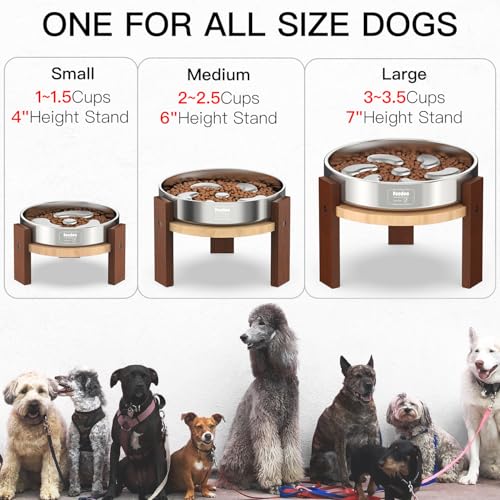 Feedoo Pet Feeder in 4'' Height Stand, 4" Height 1Cup Slow Feeder