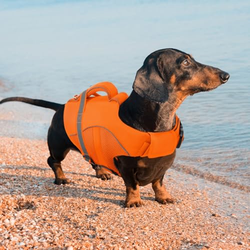 Queenmore Pet Apparel in X-Small, Orange