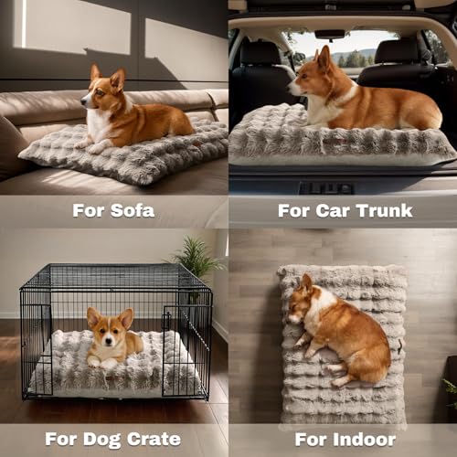 WDCOZY Pet Bed Mat in Medium（29"x21"), Fluffy-Beige