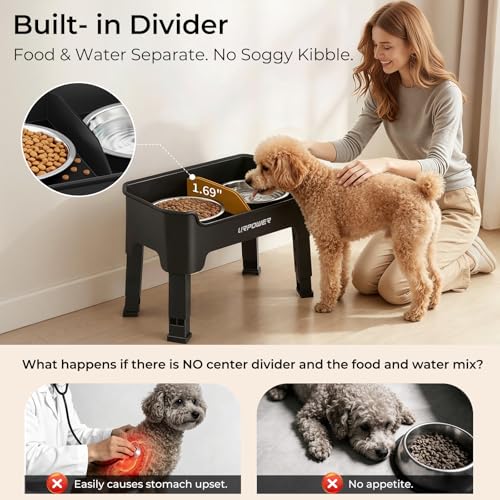 URPOWER Pet Feeder in Small, Matte Black